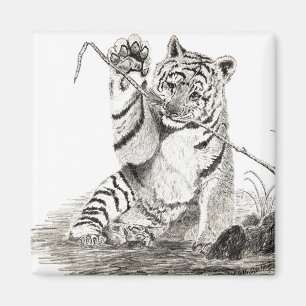 Aimant Petit animal de tigre jouant l'aimant