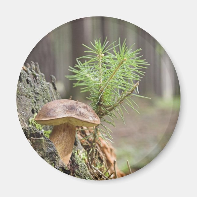 Aimant Petit champignon sauvage (Devant)