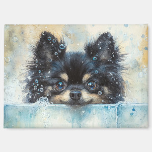 Aimant Petit Chien de Poméranie dans la baignoire