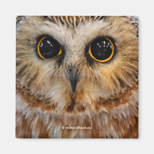 Aimant Petit du nord mignon a vu pour affûter le hibou