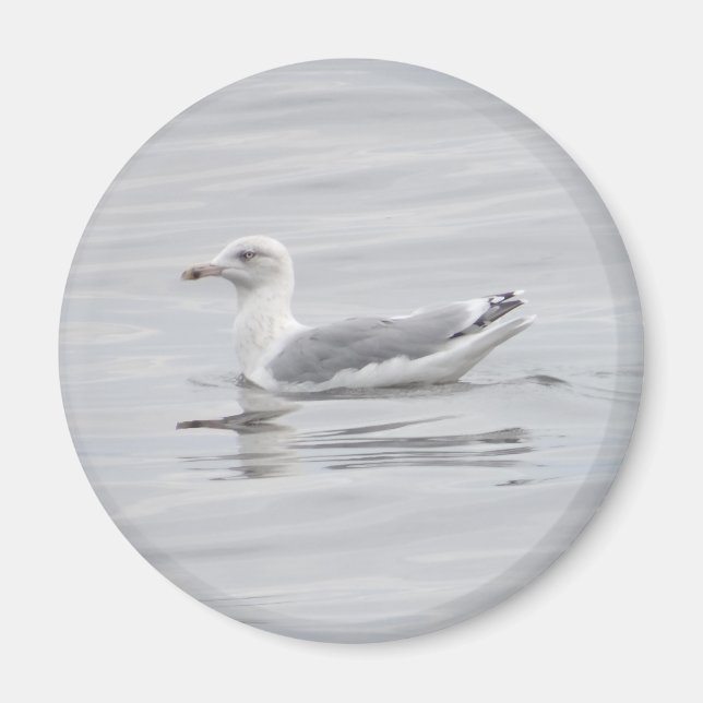Aimant Petite mouette (Devant)