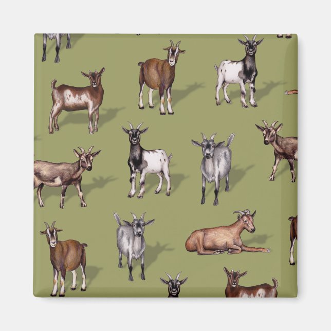 Aimant Petites chèvres en vert - Motif de troupeau de chè (Devant)