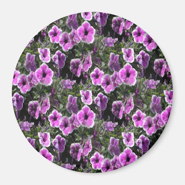 Aimant Petunia Land... (Devant)