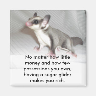 Aimant Peu importe le peu d'argent et la vie...