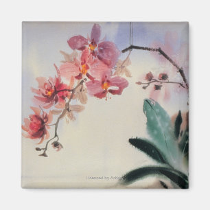 Aimant Phalaenopsis