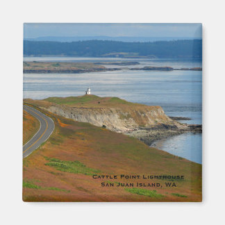 Aimant Phare de Cattle Point