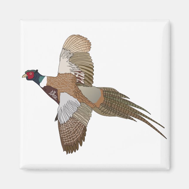 Aimant Pheasant (Devant)