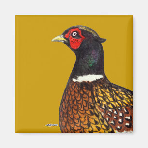 Aimant Pheasant : Tête de Ringneck