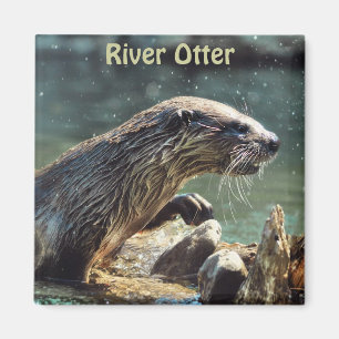 Aimant Photo animalière de River Otter Animal-lover