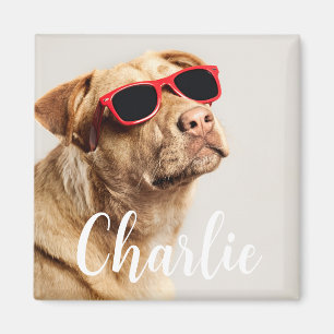 Aimant Photo de compagnie élégant simple moderne ludique