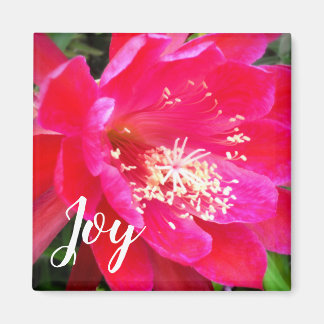 Aimant Photo de fleur rose tropicale