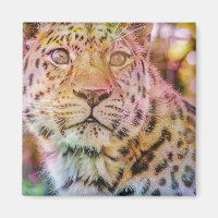 Photo de Leopard Close Up