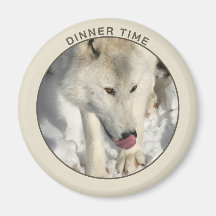 Photo de loup arctique