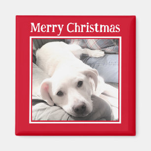 Aimant Photo de mignon chien Joyeux Noël rouge