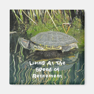 Aimant Photo de tortue de retraite avec réflexion Nature