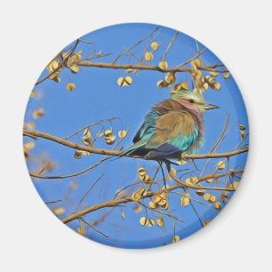 Aimant Photo d'oiseau dans l'arbre
