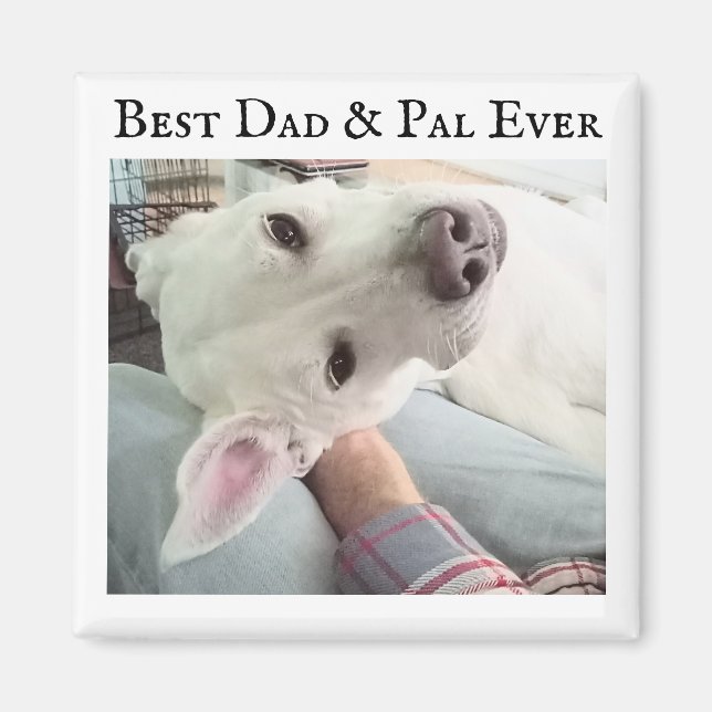 Aimant Photo du chien mignon Best Papa Pal Ever Blue Deni (Devant)