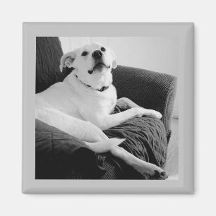 Aimant Photo en noir et blanc de Talking Dog Grey