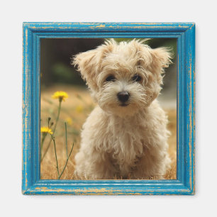 aimant photo instagram