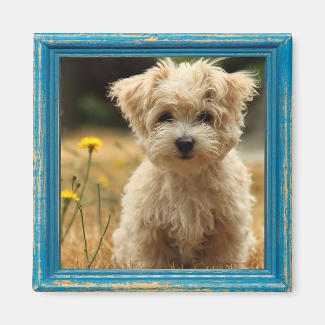 aimant photo instagram (Devant)