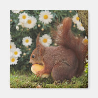 Aimant photo mignon écureuil rouge et marguerites