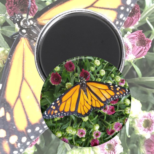 Aimant Photo Monarch Butterfly (Créateur téléchargé)