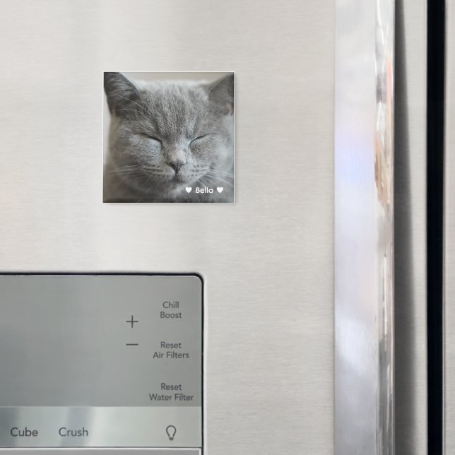 Aimant photo personnalisé gris Kitty (In situ (réfrigérateur))