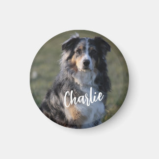 Aimant Photo personnalisée de chien d'animal de compagnie