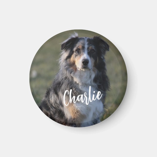 Aimant Photo personnalisée de chien d'animal de compagnie (Devant)