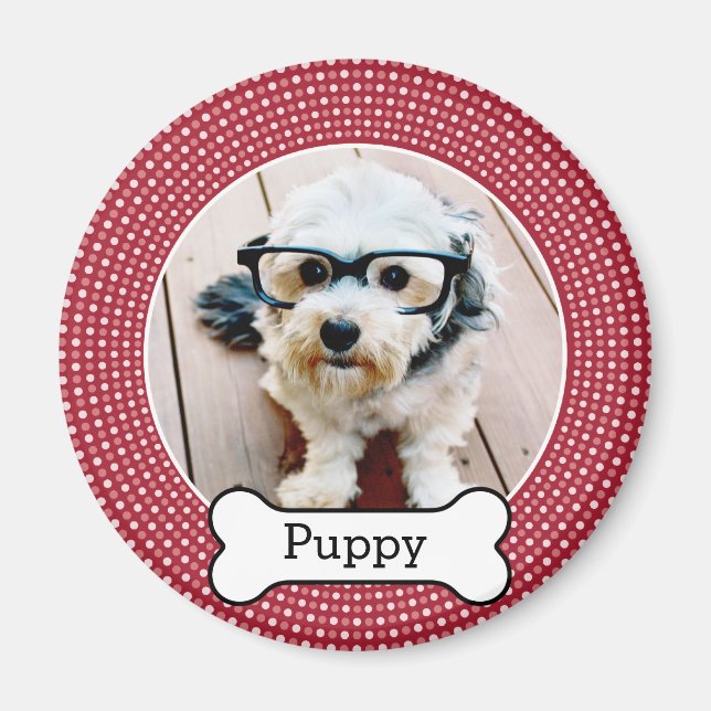 Aimant Photo pour animaux de compagnie avec os de chien - (Devant)