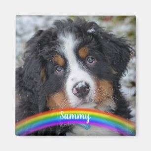 Aimant Photo pour animaux de compagnie - Chien - Chat - M