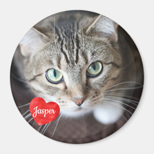 Aimant Photo pour animaux de compagnie - Chien - Chat - M