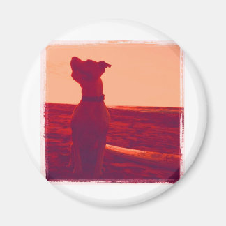 Aimant Photo Roxy par Daniela