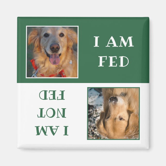 Aimant Photo simple Green White Chien Fed (Devant)