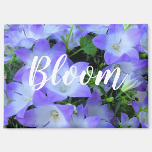Aimant Photographie de Campanules Violettes