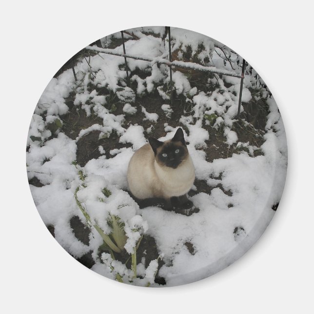 Aimant Photos De Neige, Chat De Neige (Devant)
