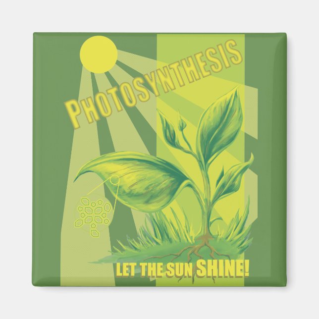 Aimant Photosynthèse (Devant)