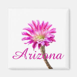 Aimant Piazza rose fleur de cactus en fleur, Arizona