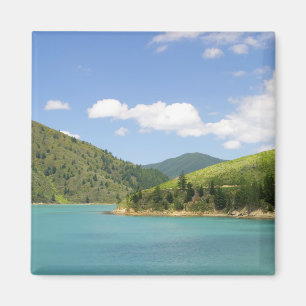 Aimant Picton, Nouvelle-Zélande. La porte d'entrée entre