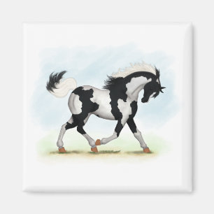 Aimant Piebald Overo Pinto Horse