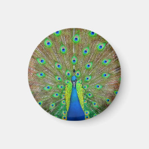 Aimant Pièce bleue #3 Magnat rond