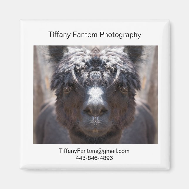 Aimant Pièce Promo Alpaca (Devant)