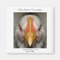 Pièce Promo poulet