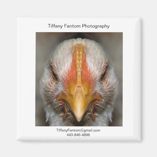 Aimant Pièce Promo poulet (Devant)