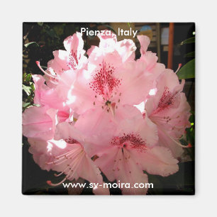 Aimant Pienza, Italie