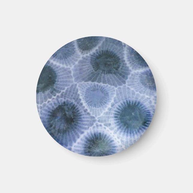 Aimant Pierre de Petoskey gris bleu (Devant)