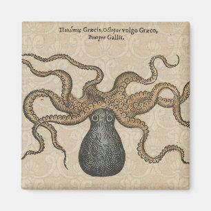 Aimant Pieuvre Kraken Antique Faune Marine Côtière