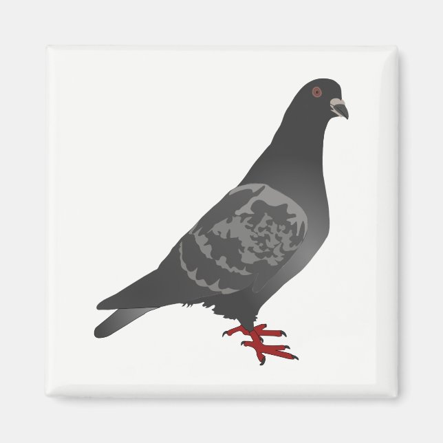 Aimant Pigeon (Devant)
