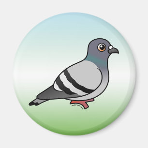 Aimant Pigeon de roche mignon