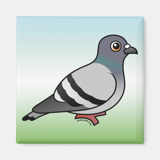 Aimant Pigeon Rocher (Devant)